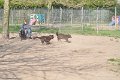 Afb_20170409w (29)